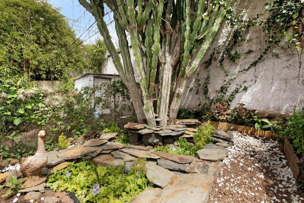 Вилла Casa Con Jardin Такоронте Экстерьер фото